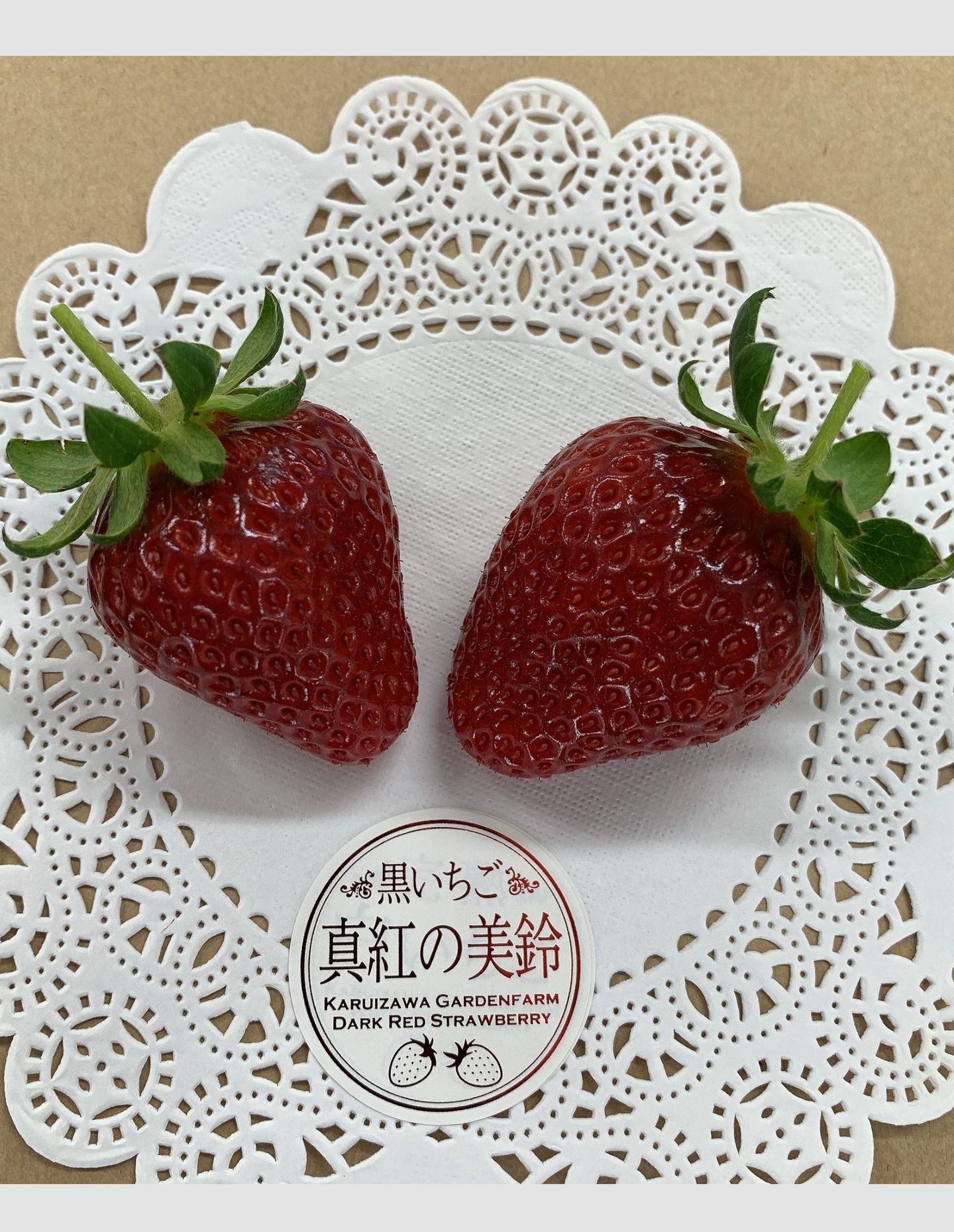 軽井沢高原で一年中いちご狩り｜軽井沢ガーデンファーム