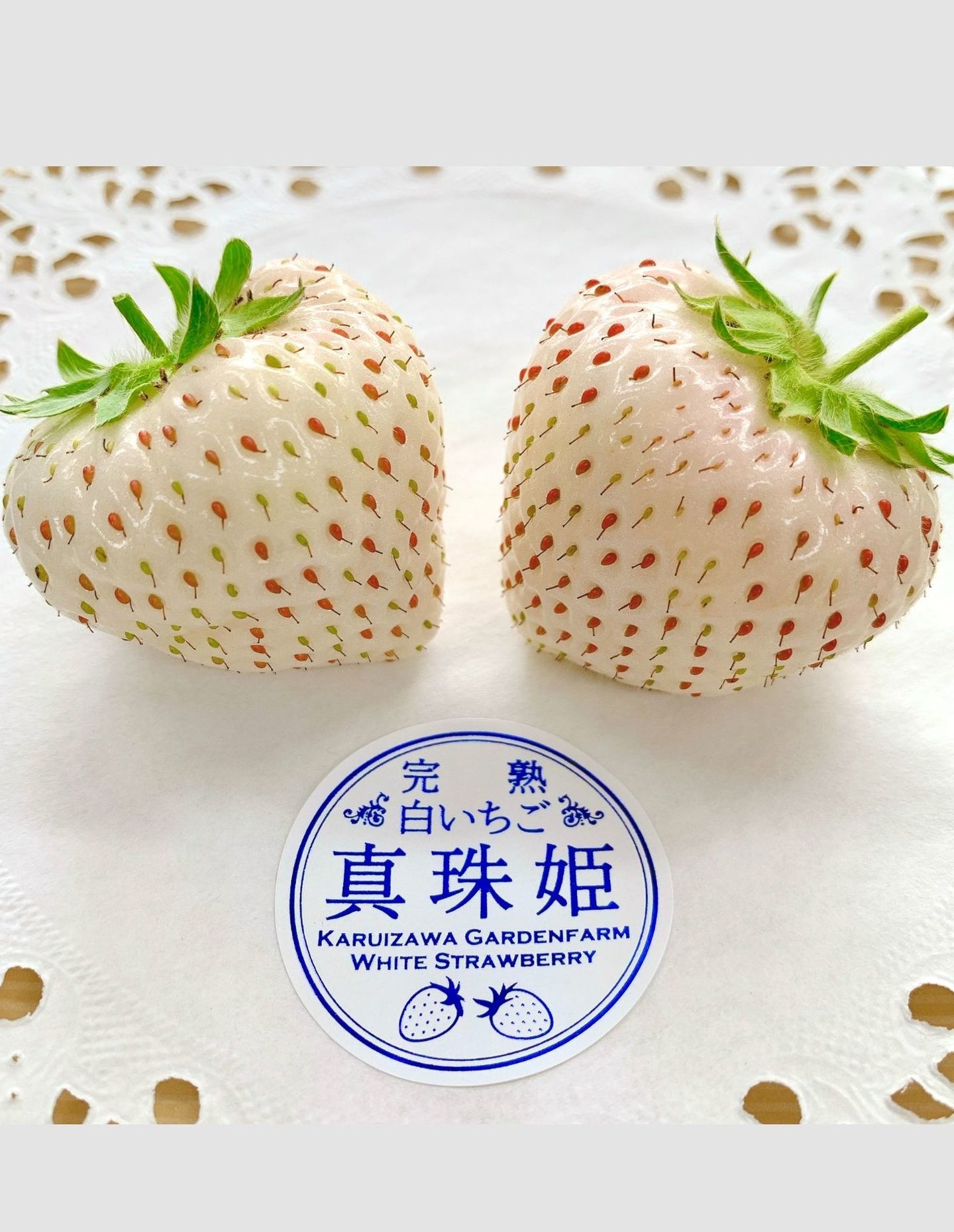 軽井沢高原で一年中いちご狩り｜軽井沢ガーデンファーム