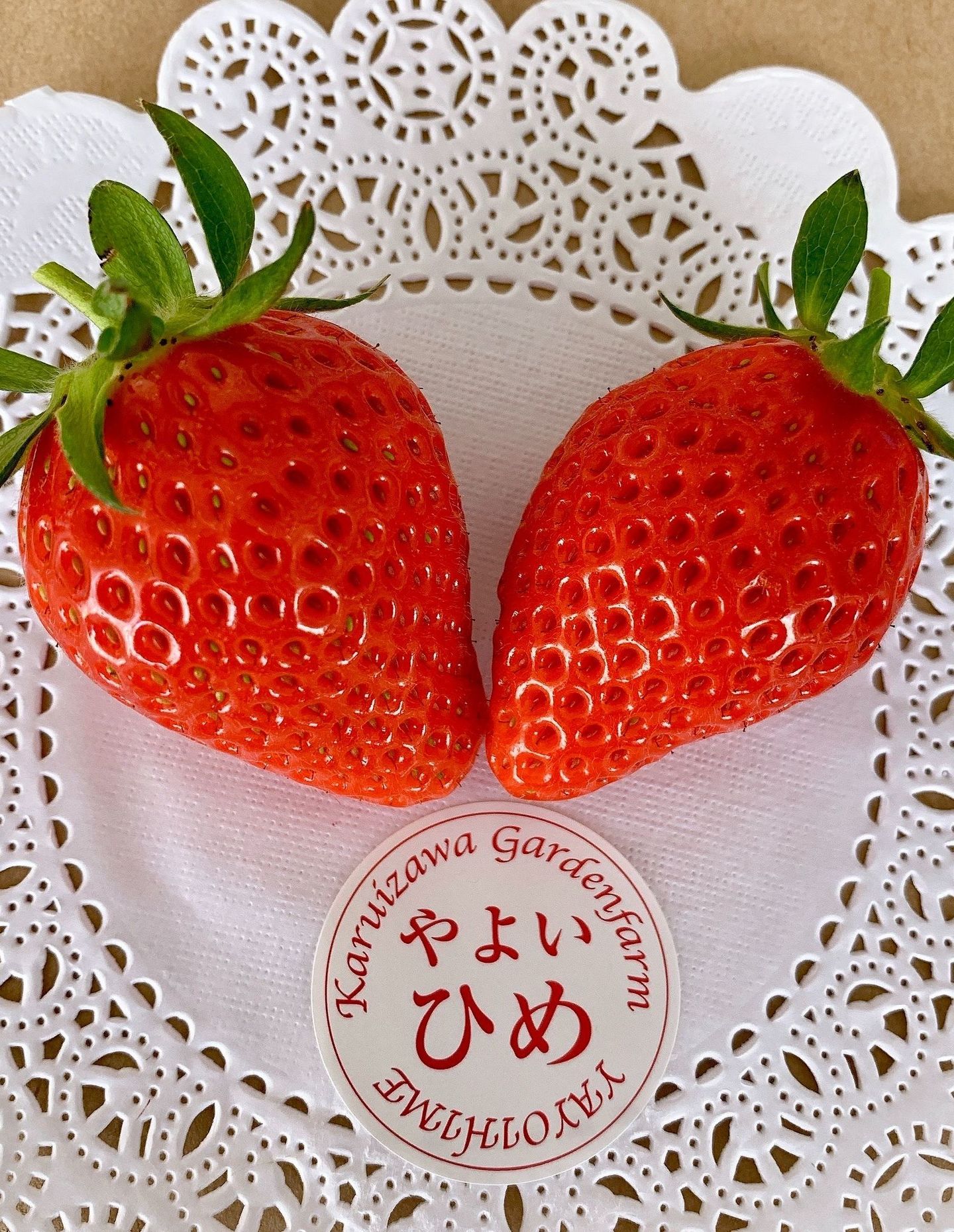 軽井沢高原で一年中いちご狩り｜軽井沢ガーデンファーム