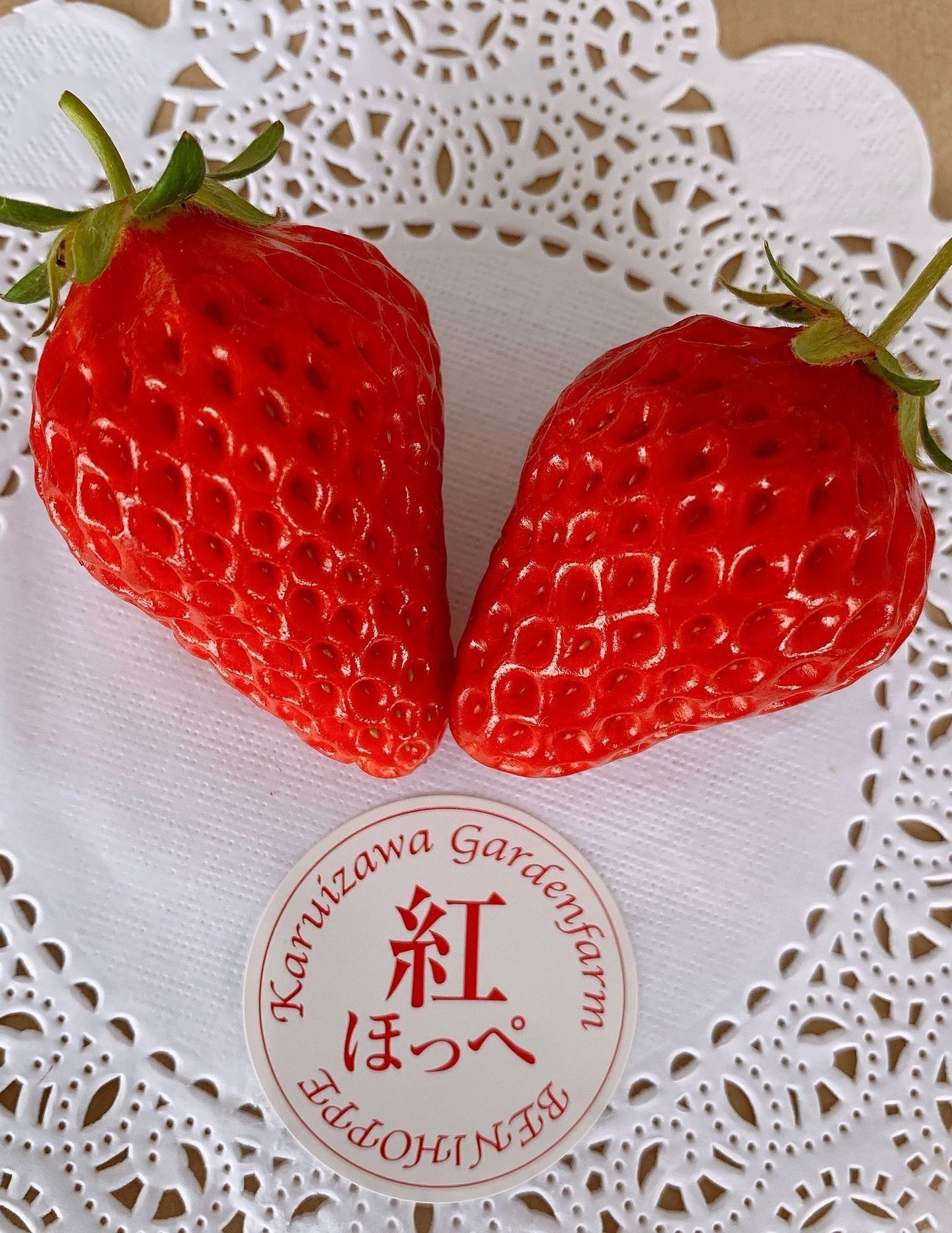 レッド②苺木曜②華子さん専用 レッド②苺木曜②華子さん専用 華子さん専用